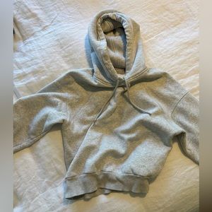 Everlane Heather gray hoodie